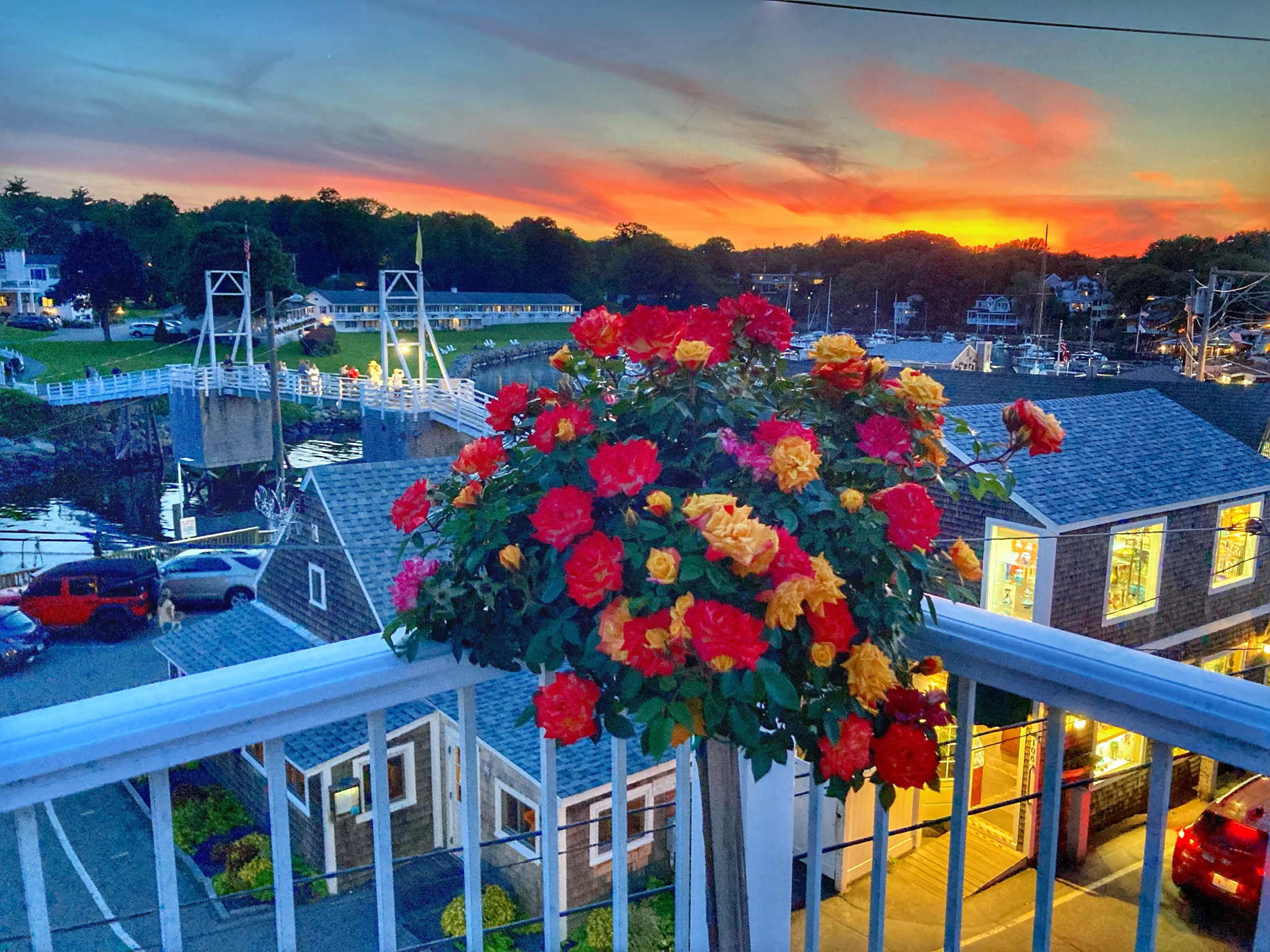 Perkins Cove deck flowers at sunset